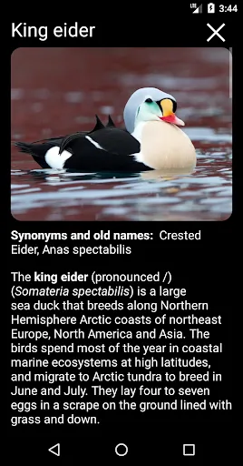 Скриншот 4 — Birds of North America: Decoys