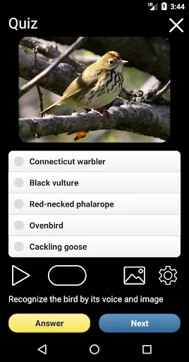 Скриншот 5 — Birds of North America: Decoys