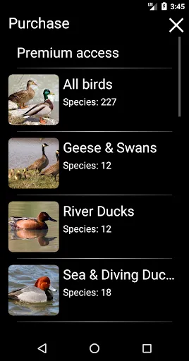 Скриншот 8 — Birds of North America: Decoys