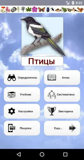 Скриншот 1 — ЭкоГид: Птицы средней полосы