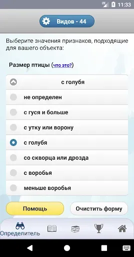 Скриншот 4 — ЭкоГид: Птицы средней полосы
