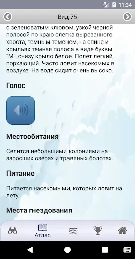 Скриншот 6 — ЭкоГид: Птицы средней полосы