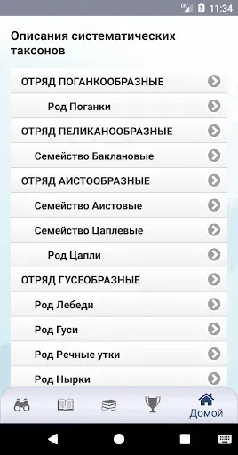 Скриншот 7 — ЭкоГид: Птицы средней полосы