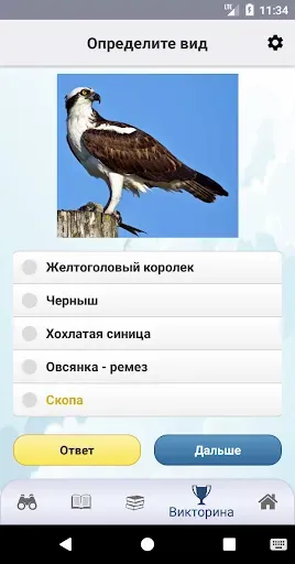 Скриншот 8 — ЭкоГид: Птицы средней полосы