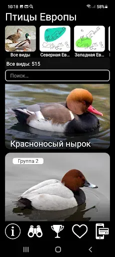 Скриншот 1 — Птицы Европы PRO: определитель