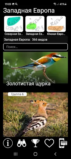 Скриншот 2 — Птицы Европы PRO: определитель