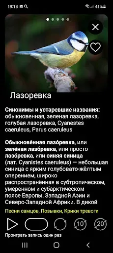 Скриншот 4 — Птицы Европы PRO: определитель
