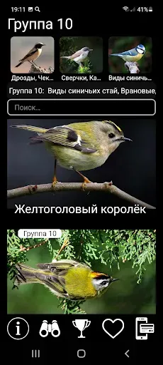 Скриншот 5 — Птицы Европы PRO: определитель