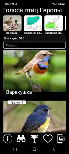 Скриншот 1 — Голоса птиц Европы PRO