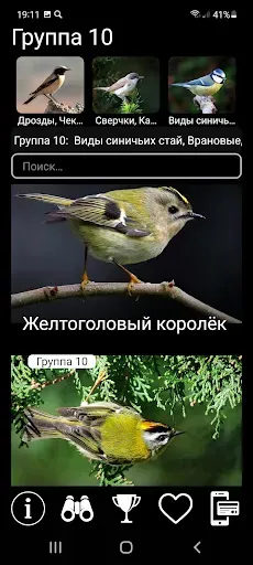 Скриншот 5 — Голоса птиц Европы PRO