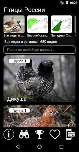 Скриншот 1 — Голоса птиц России PRO