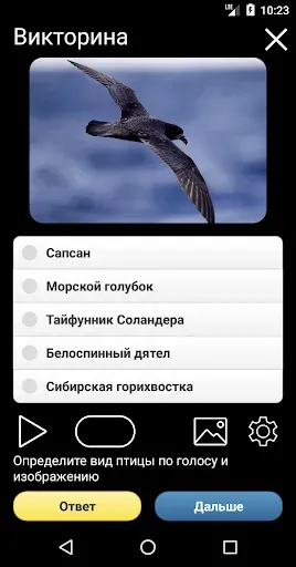 Скриншот 5 — Голоса птиц России PRO