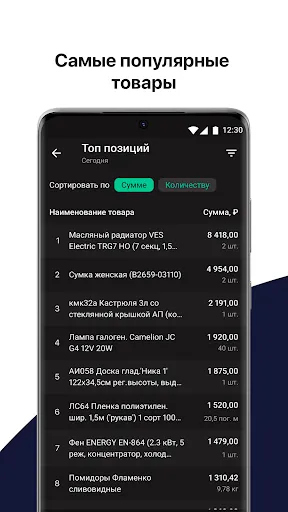 Скриншот 4 — Личный кабинет Эвотора