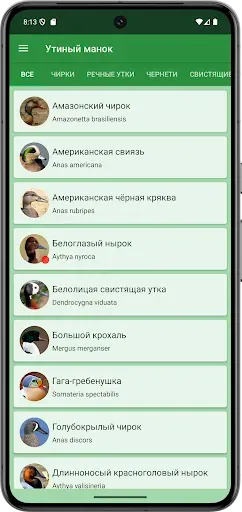 Скриншот 2 — Прогрессивный Утиный манок