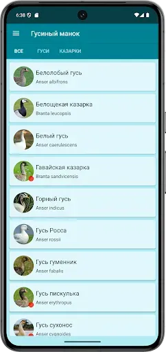 Скриншот 2 — Прогрессивный Гусиный манок
