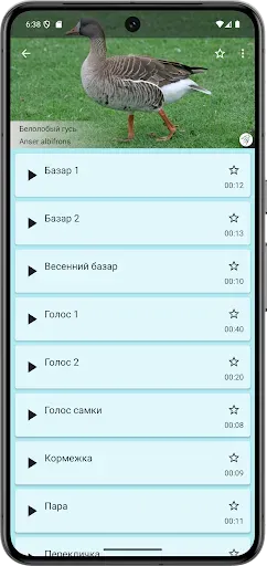Скриншот 3 — Прогрессивный Гусиный манок