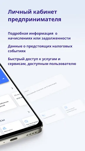 Скриншот 2 — Личный кабинет предпринимателя