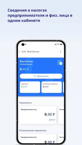 Скриншот 3 — Личный кабинет предпринимателя