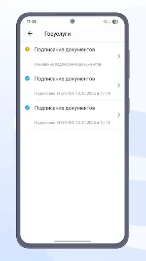 Скриншот 5 — Госключ