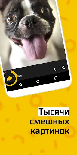 Скриншот 2 — АйДаПрикол