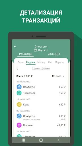 Скриншот 7 — Финансы - бюджет, расходы