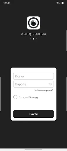 Скриншот 1 — IPEYE