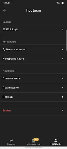 Скриншот 7 — IPEYE