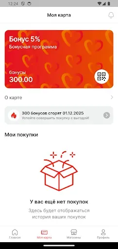 Скриншот 3 — Метелица Бонус