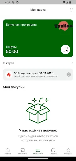 Скриншот 4 — Vavilon