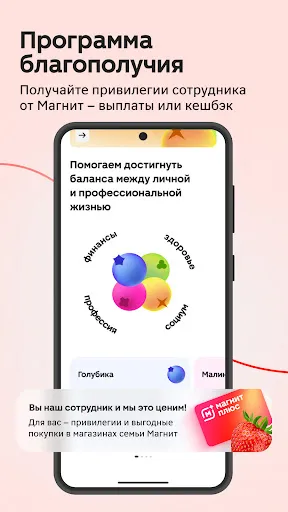 Скриншот 7 — Твой Магнит