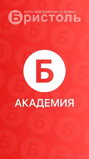 Скриншот 1 — Академия Бристоль