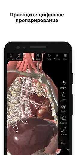 Скриншот 3 — Pirogov Anatomy