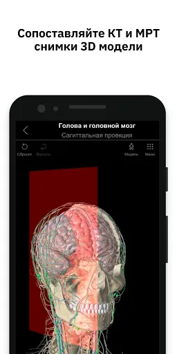 Скриншот 4 — Pirogov Anatomy