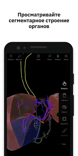 Скриншот 5 — Pirogov Anatomy
