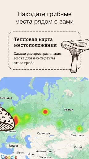 Скриншот 2 — Гриб ID