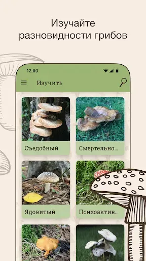 Скриншот 3 — Гриб ID