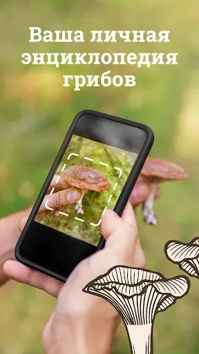 Скриншот 5 — Гриб ID
