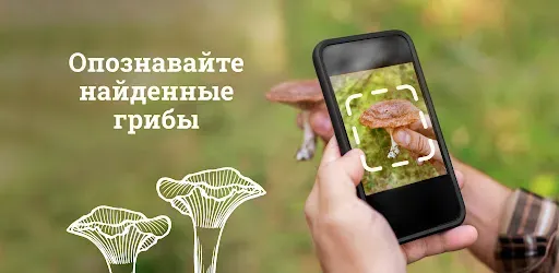Скриншот 6 — Гриб ID