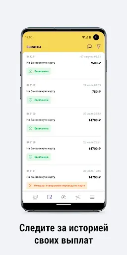 Скриншот 5 — Моменталка iRuler-вывод денег