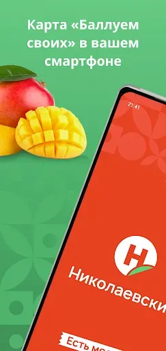 Скриншот 1 — Николаевский