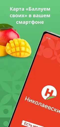 Скриншот 8 — Николаевский