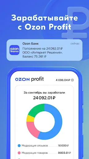 Скриншот 5 — Ozon Profit
