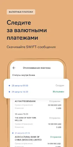 Скриншот 5 — Райффайзен Бизнес Плюс