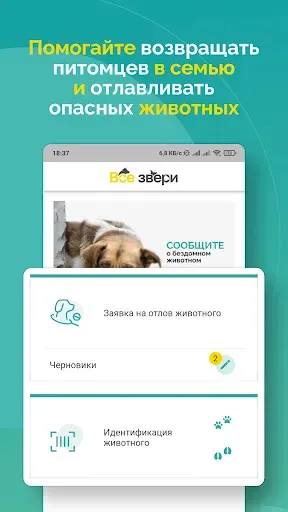 Скриншот 1 — Поиск животного
