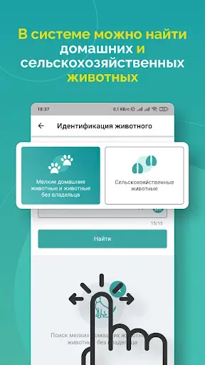 Скриншот 2 — Поиск животного