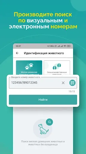 Скриншот 3 — Поиск животного