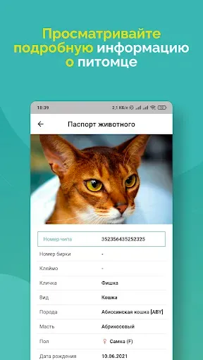 Скриншот 4 — Поиск животного