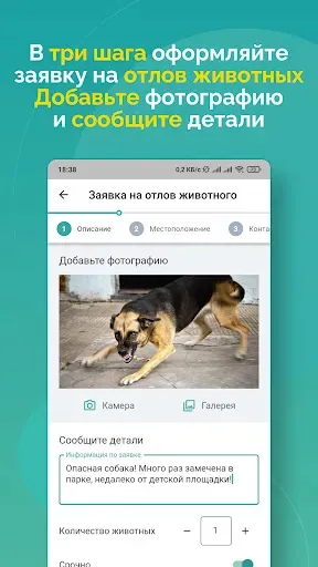Скриншот 6 — Поиск животного