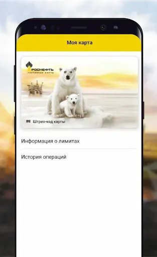 Скриншот 1 — РН-Карт