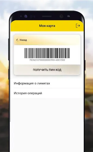 Скриншот 6 — РН-Карт